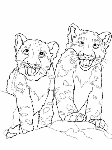 Babies Snow Leopard Coloring Page